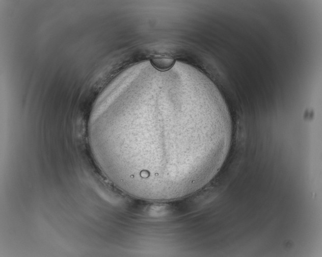 X0000111180173200907151333