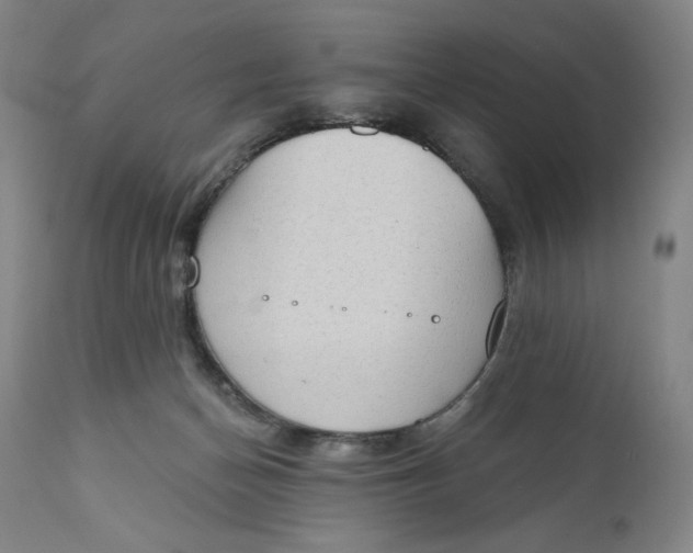 X0000111180174200907151333