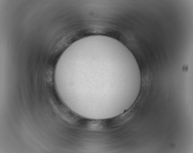 X0000111180175200907151333