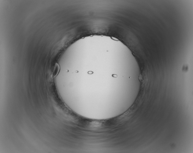 X0000111180176200907151333