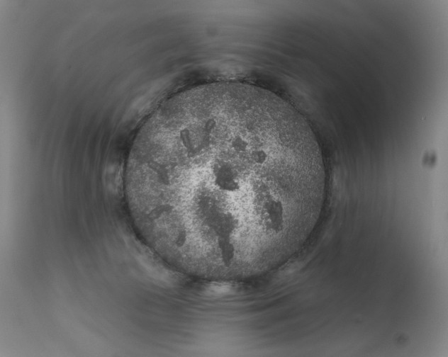 X0000111180177200907151333