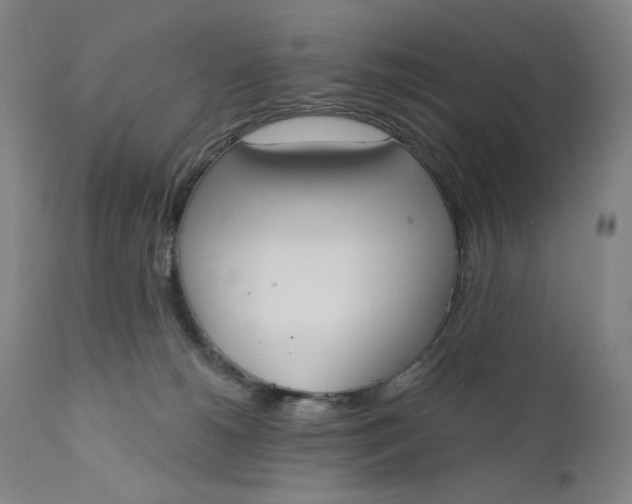 X0000111180180200907151333