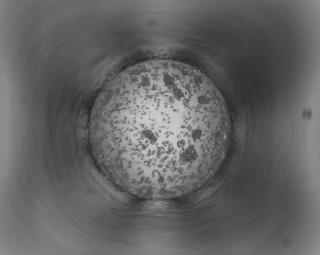 X0000111180181200907151333