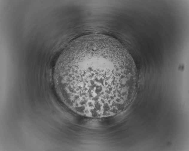 X0000111180182200907151333