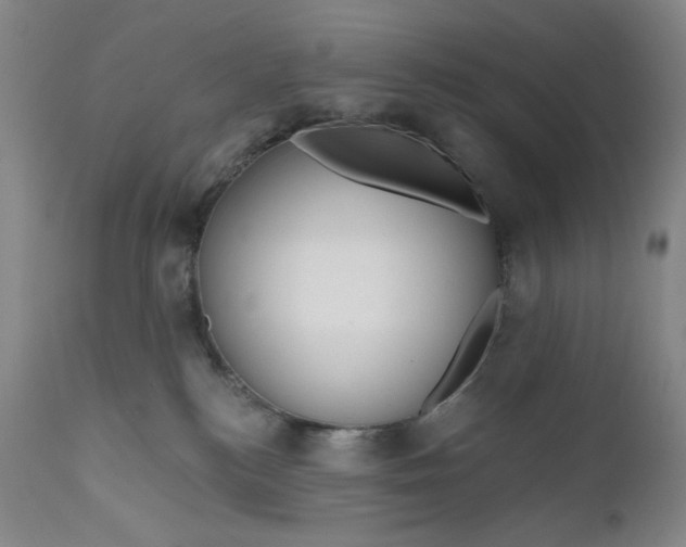 X0000111180184200907151333