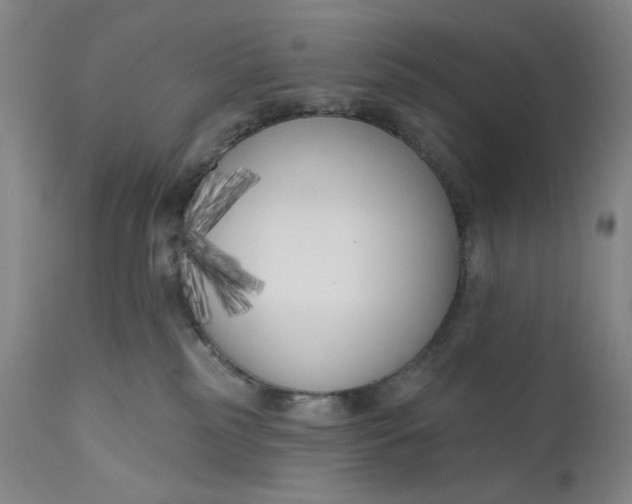 X0000111180185200907151333