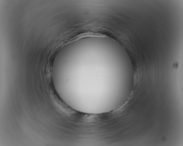 X0000111180186200907151333