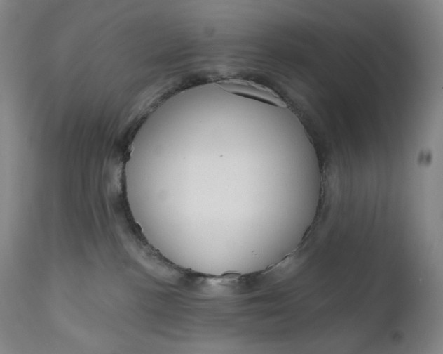 X0000111180188200907151333