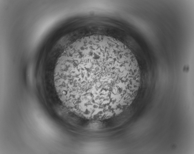 X0000111180189200907151333