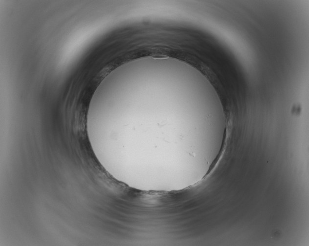 X0000111180190200907151333