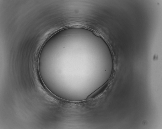 X0000111180193200907151332