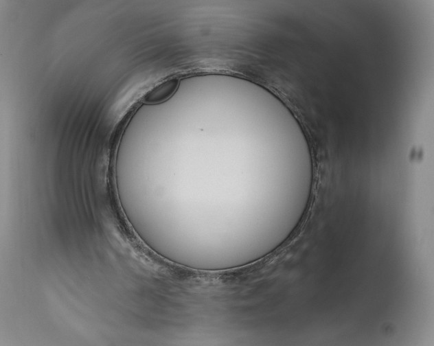 X0000111180194200907151332