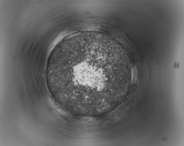 X0000111180195200907151332