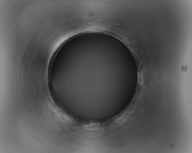 X0000111180196200907151332