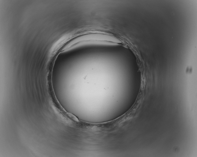 X0000111180197200907151332