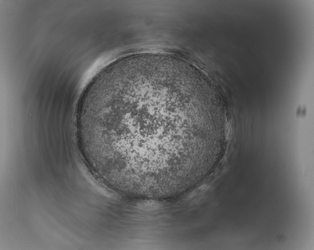 X0000111180198200907151332