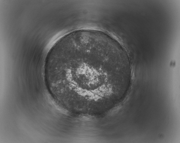 X0000111180199200907151332