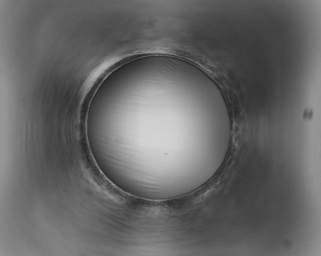 X0000111180200200907151332