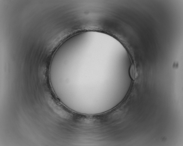 X0000111180201200907151332