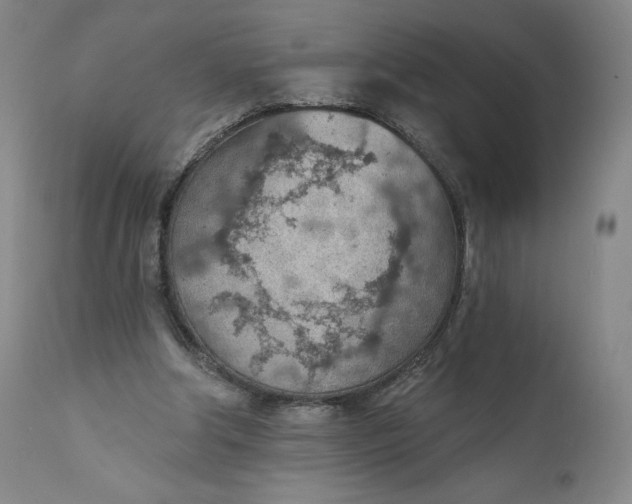 X0000111180202200907151332