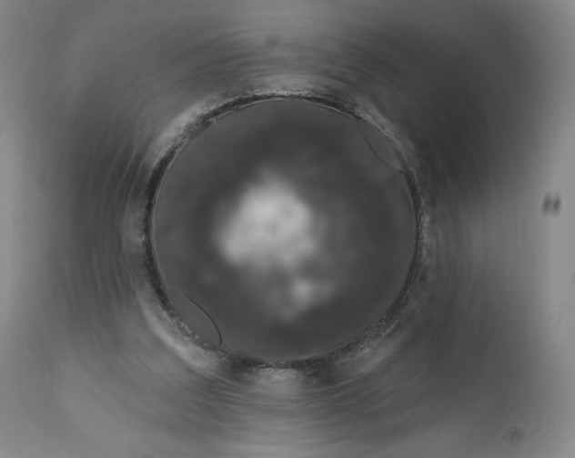 X0000111180203200907151332