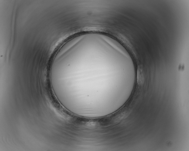 X0000111180204200907151332