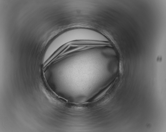 X0000111180205200907151332