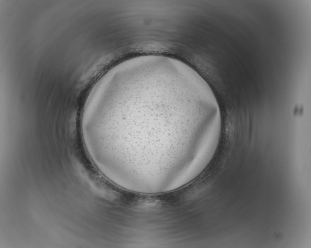 X0000111180206200907151332