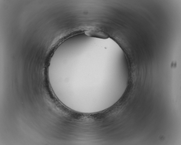 X0000111180207200907151332