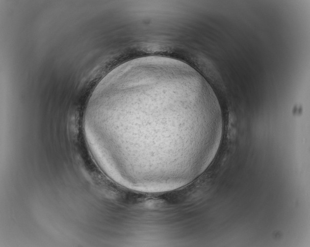 X0000111180210200907151332