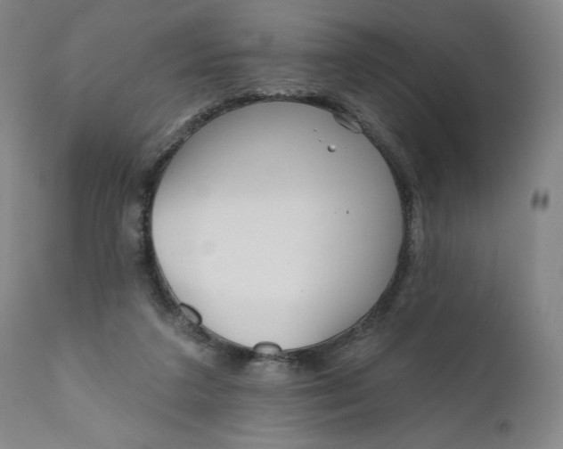 X0000111180211200907151332