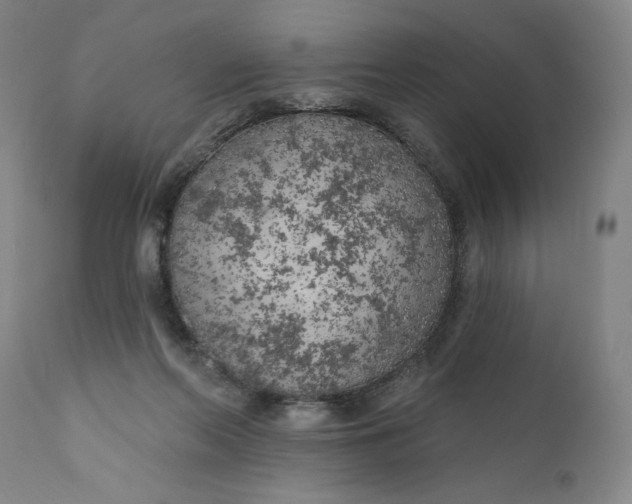 X0000111180214200907151332