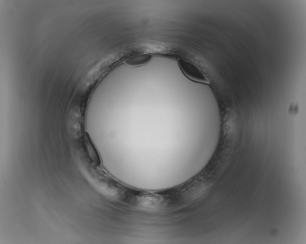 X0000111180215200907151332