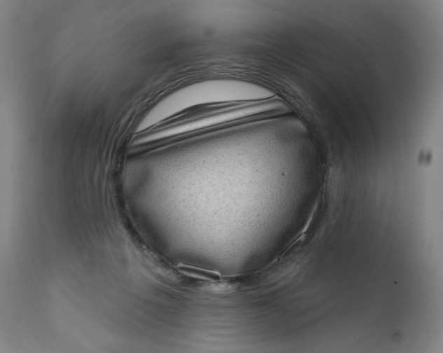 X0000111180217200907151332