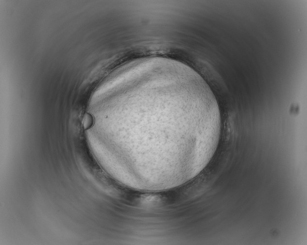 X0000111180218200907151332