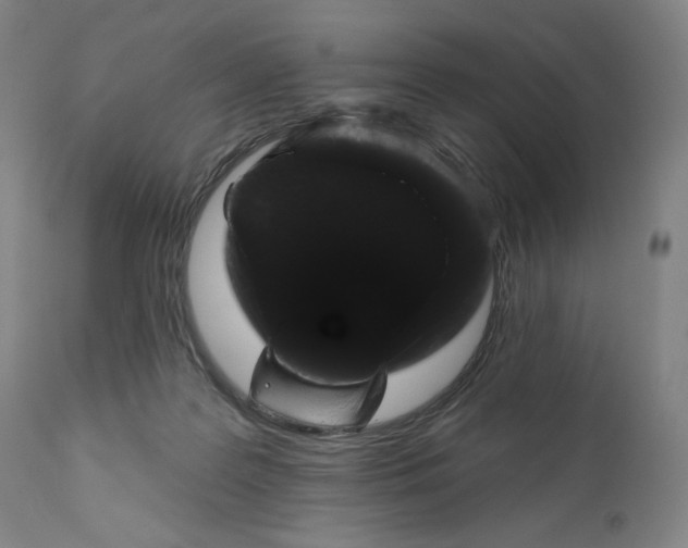 X0000111180219200907151332