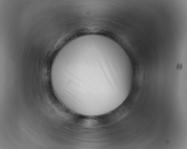 X0000111180220200907151332