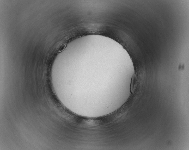 X0000111180221200907151332