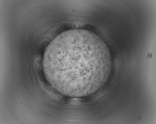 X0000111180222200907151332