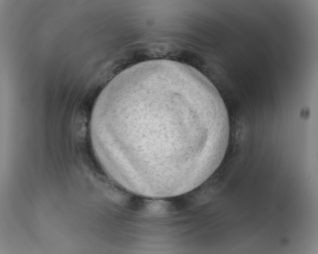 X0000111180226200907151332