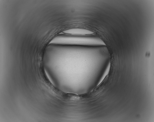 X0000111180227200907151332