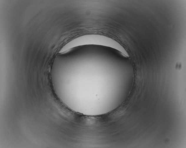 X0000111180229200907151332