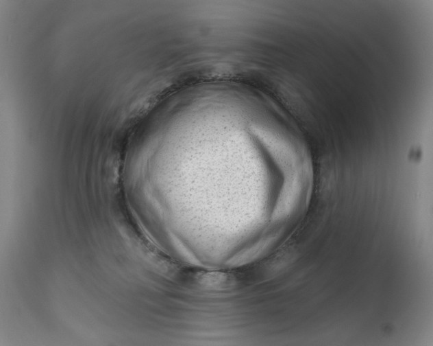 X0000111180230200907151332