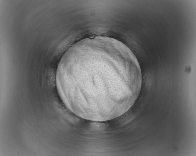 X0000111180234200907151332