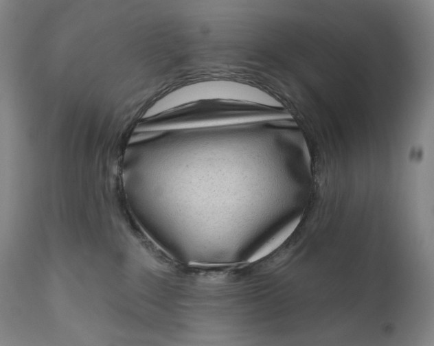 X0000111180235200907151332