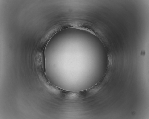 X0000111180237200907151332