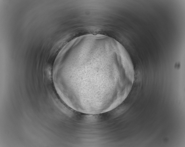 X0000111180238200907151332