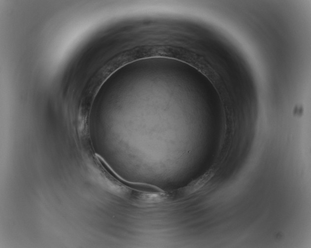 X0000111180239200907151332