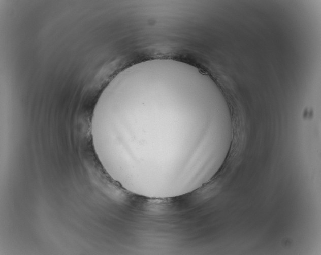 X0000111180240200907151332