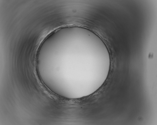 X0000111180241200907151331